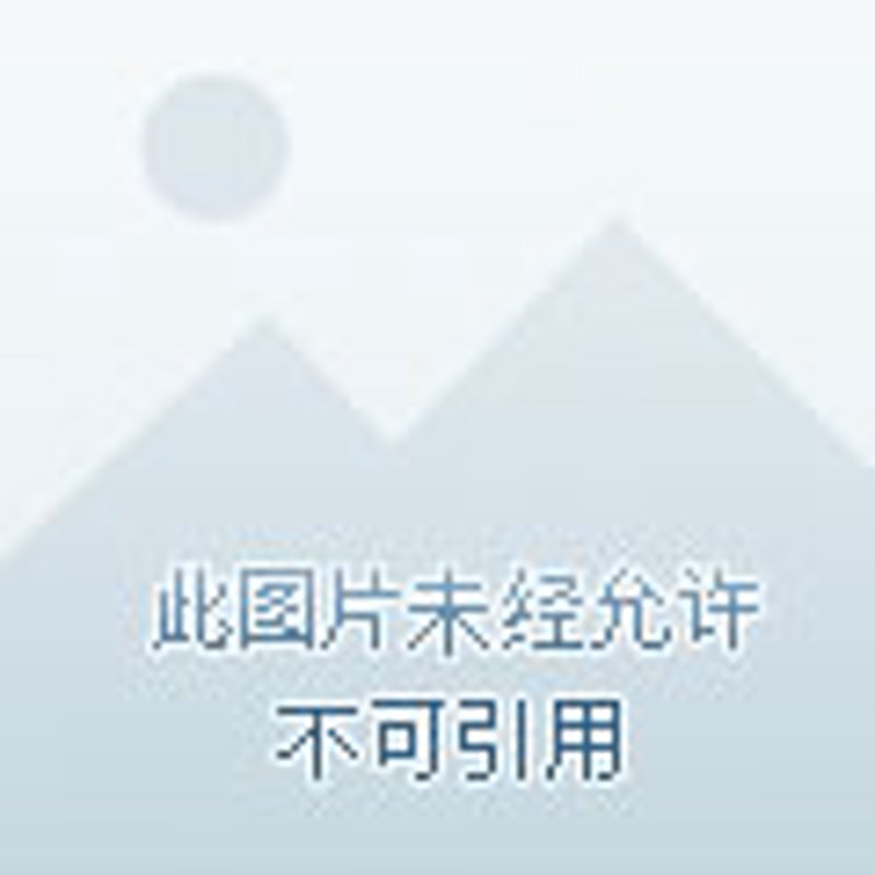 凉山地区的楼盘选择：新手与专业人士视角